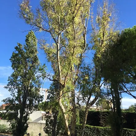 Studio Crista Antibes