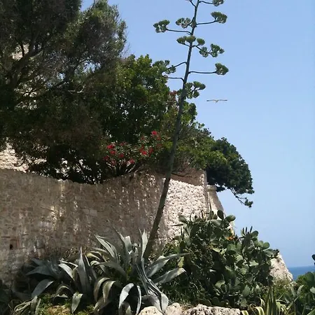 Lägenhet Studio Crista Antibes